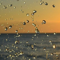 Викуля Кавицая, 11.04, Севастополь