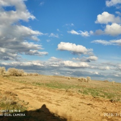 Мурад Нарчаев, 23.12.1974, Тараз