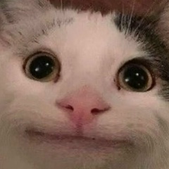 Светлана Старкова, Санкт-Петербург