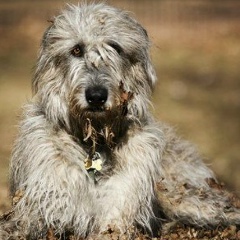 Виталий Дрокин, 05.08.1985, Челябинск