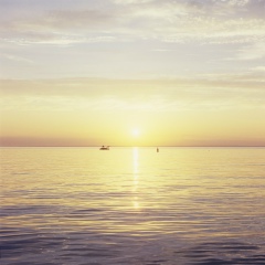 Миш Ган, Санкт-Петербург