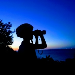 Zagid Abbasov, 16.05