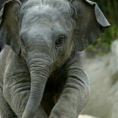 Алексей Сундуков, 05.09.1977, Казань