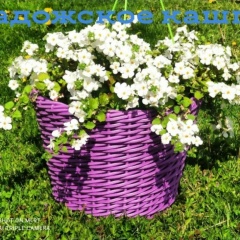 Юлия Григорьева, Санкт-Петербург