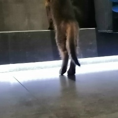 Светлана Черных, 06.05