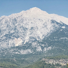 Павел Колесов