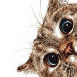 Kattia Volynets, 09.07, Днепр (Днепропетровск)