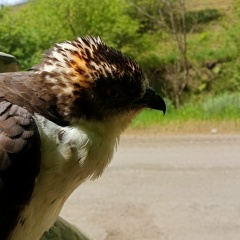 Кирилл Куликов, 18.06.1985, Санкт-Петербург