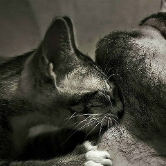 Айнур Бейбутов, 29.08, Сургут