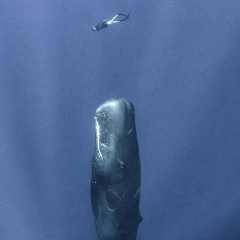 Ильяс Баиров, 01.03, Алматы