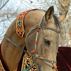Алибек Зауытбаев, 22.05.1997, Актау