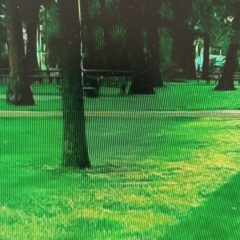 Наталья Хренова, 01.04.1985, Благовещенск