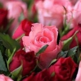 Ирина Кабанова, 14.03, Вологда