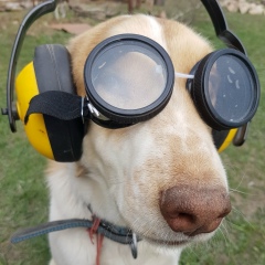 Вячеслав Федоров, Санкт-Петербург