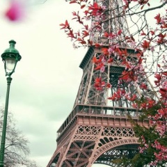 Елена Жердева, Семей