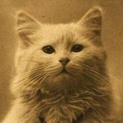 Дмитрий Иванов, Караганда