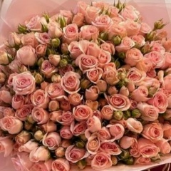 Галина Галина, 07.01, Омск