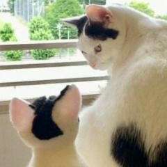 Ляззат Саурбаева, 15.08.1991, Шымкент