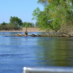 Богдан Прадун, Черкассы