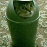 Михаил Картошкин, 27.09.1979, Могилёв