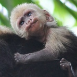 Madina Makulbekova, 15.03.1999, Астана