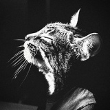 Анка Матвеева, 03.06