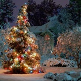 Динмухамед Шора, 28.08, Астана