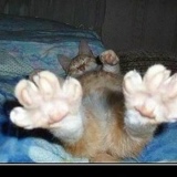 Марк Костенко, 19.12.1998, Красноярск