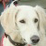 Анна Петрова, 25.03.1984, Уфа