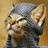 Виталий Штука, 08.01.1984, Сыктывкар