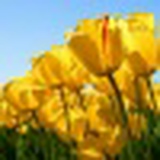 Катюша Симкина, 21.07, Вязьма