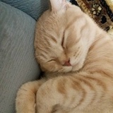 Зарина Каримбаева, 16.12.1986, Алматы