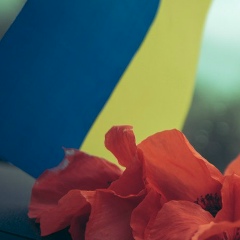 Віта Сергієнко, 03.07.1988, Ивано-Франковск