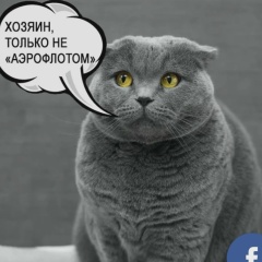 Сергей Протасов, 14.02, Москва