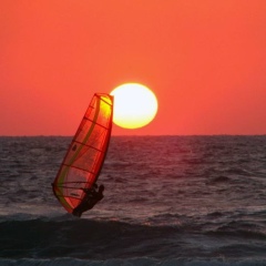 Den Rom, 29.11.1975, Санкт-Петербург