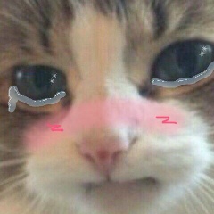 Юра Бурко, 15.12.1998