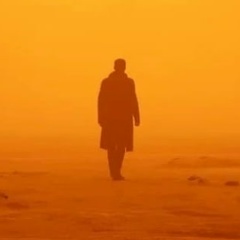 Дима Маликов, Симферополь