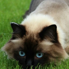 Эллина Денисова, 24.10