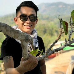 Thaw Jet, Yangon