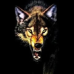 Аман Ибрагимов, 27.04.1983, Алматы