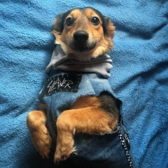 Мурат Криттер, 01.05, Алматы