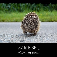 Денис Своекошинов, Новокуйбышевск
