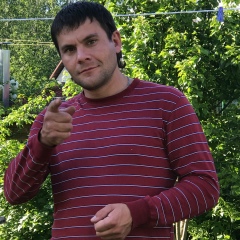 Алексей Сидоренко, Санкт-Петербург