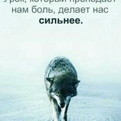 Куштар Акунов, 01.02.1999