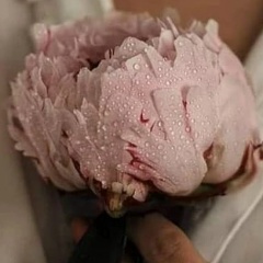 Дарья Мамонтова, 07.09, Санкт-Петербург