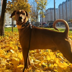 Svetlana Vyacheslavovna, 04.06, Санкт-Петербург
