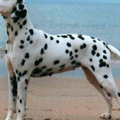 Женя Арзыкулов, 05.01.1996