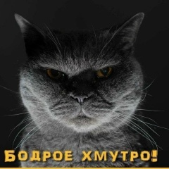 Денис Гуд, Комсомольск-на-Амуре