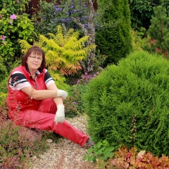 Елена Акимова, 24.12.1951, Москва