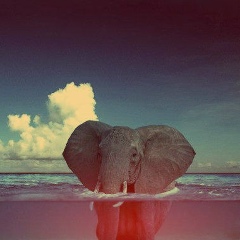 Екатерина Мещерская, 25.10.1989, Москва